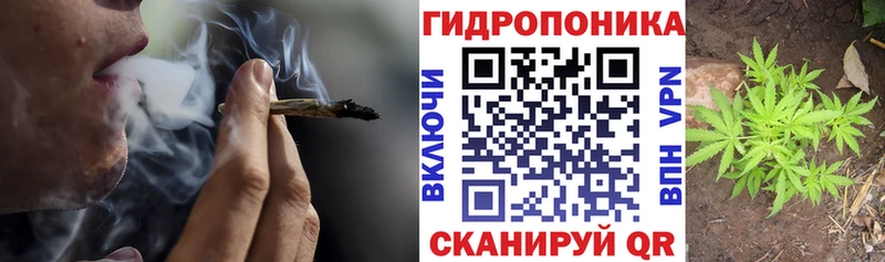 Канабис AK-47  как найти закладки  Нефтегорск 